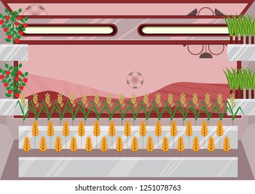 Closed ecological system. Concept of use. A self-sustainable bio station with different plants constructed on another planet (Mars). View from inside of bio station