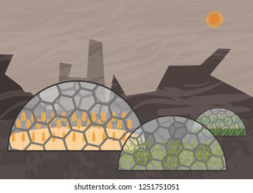 Closed ecological system. Concept of use. A self-sustainable bio station with different plants in extreme conditions of post apocalyptic world