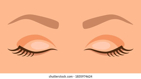Closed eyes with eyelashes and eyebrows in a cartoon style. Woman face vector illustration. Sleep.