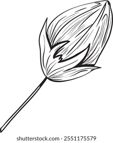 Geschlossene Blume Bud auf Kurzarm Graphic Black and White Illustration für Print-und Web-Design von physischen Produkten und Projekten