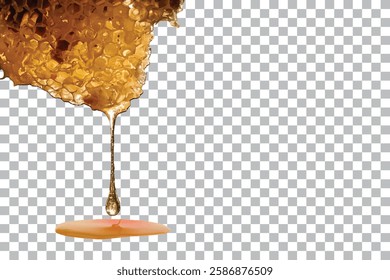 closed up Honey Comb isolated on transparent background