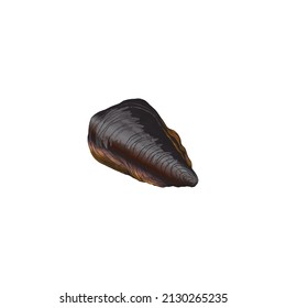 Closed mussel shell in colored sketch style, vector illustration isolated on white background. Hand drawn seafood element and marine life inhabitant. Great for restaurant menu design.