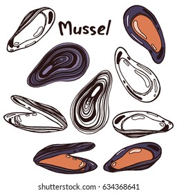 Closed and open shells of mussels with meat. Hand drawn isolated illustration set with the inscription on a white background