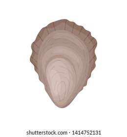 Closed oyster shell. Vector illustration on white background.