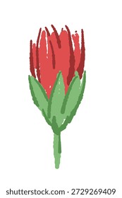 Geschlossene rote Nelke Blume Bud Vektor