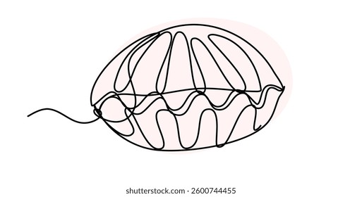 Closed sea shell in a continous line art stye. Editable vector, easy to use