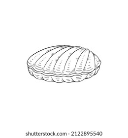 Closed sea shell in hand drawn monochrome sketch style, vector illustration isolated on white background. Marine life element for nautical summer design. Underwater animal body part.