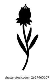 Closed wildflower bud, silhouette in black color. Blooming wild plant coreopsis, meadow flower shape. Botanical elements for design projects. Detailed floral vector illustration