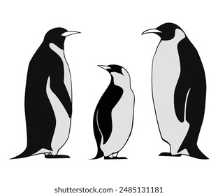 A Closer Look at the Unique Characteristics of Penguins