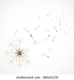 Close-up of abstract dandelion with sparse of seed. Vector illustration for graphic design.