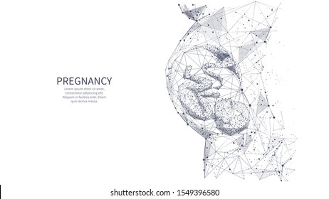 Closeup of an abstract pregnant woman with embryo in her maw side view. Isolated pregnancy medical concept on white. Vector low poly wireframe illustrations with connected dots, and triangle shapes.
