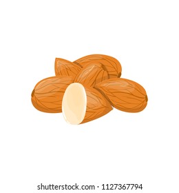 Closeup Almond vector icon. Healthy eating cartoon illustration. Group of nuts isolated on white background