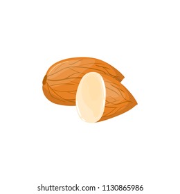 Closeup Almond vector icon. Healthy eating cartoon illustration. Group of nuts isolated on white background