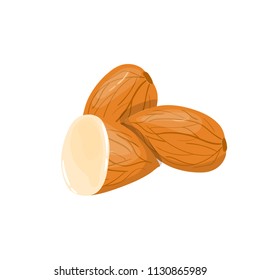 Closeup Almond vector icon. Healthy eating cartoon illustration. Group of nuts isolated on white background