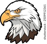 Close-up of a bald eagle head illustration