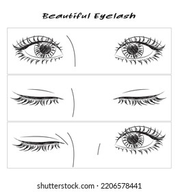 Close-up beautiful eyelashes to attract,drawing eyeliner on the eyes