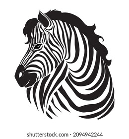 Closeup beautiful potrait Zebra looking at the camera isolated on white background, vector illustration for tattoo and printing