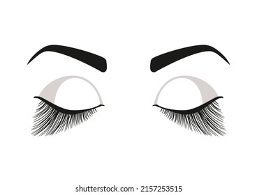 Closeup of beautiful woman eye with makeup. Long fake lashes.