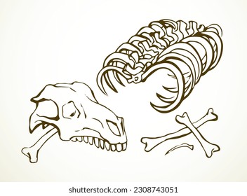Closeup big white limb goat pet leg eat part antique retro age bull hip hunt nature element. Line hand drawn old die ram roe cow sheep body fibula joint dog wolf food meal icon sign sketch art cartoon