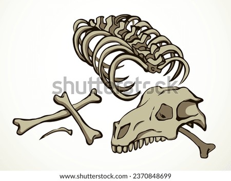 Closeup big white limb goat pet leg eat part antique retro age bull hip hunt nature element. Line hand drawn old die ram roe cow sheep body fibula joint dog wolf food meal icon sign sketch art cartoon