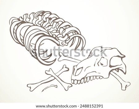 Closeup big white limb goat pet leg eat part antique retro age bull hip hunt nature element. Line hand drawn old die ram roe cow sheep body fibula joint dog wolf food meal icon sign sketch art cartoon