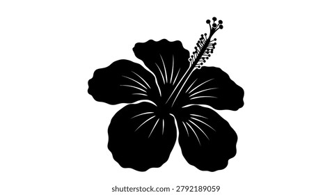 Close-up of a black hibiscus flower