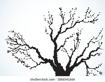 Closeup black ink line hand drawn barren bough oak trunk eco scene picture emblem logo design retro art engrave print style. Close up scenic view bloom blossom flower light white paper card text space