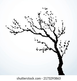 Closeup black ink line hand drawn barren bough oak trunk eco scene picture emblem logo design retro art engrave print style. Close up scenic view bloom blossom flower light white paper card text space