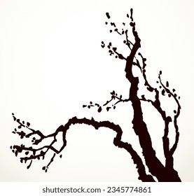 Closeup black ink line hand drawn barren bough oak trunk eco scene picture emblem logo design retro art engrave print style. Close up scenic view bloom blossom flower light white paper card text space