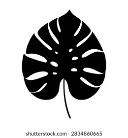 Close-up of a black Monstera leaf showcasing intricate natural cutouts and bold shape, emphasizing tropical foliage and botanical beauty.