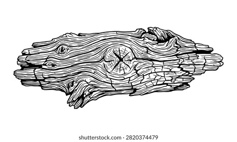 Close-up black and white illustration of a piece of weathered driftwood, highlighting its natural texture and grain.