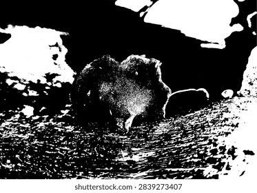 Close-up black and white vector illustration of wild mushrooms growing on weathered tree bark in stencil style.