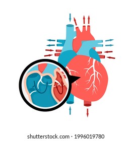 Circulación sanguínea estrecha en el corazón. Anatomía cardíaca humana con flujo sanguíneo. Ilustración de órganos internos humanos.