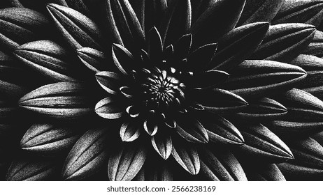 Close-up blooming flower in stippling style with detailed texture. Dramatic black and white floral art background. Retro styled dotwork. Pointillism. Noisy grainy dot shading. Vector illustration