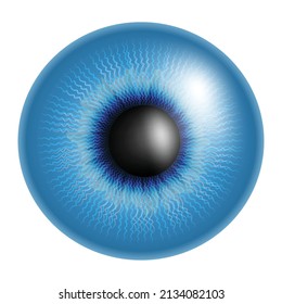 Cerrar la bola ocular azul,Imagen vectorial