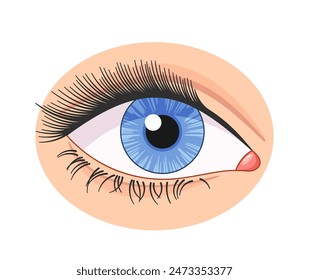 Close-up Of Blue Eye With Detailed Anatomy Including Eyelashes And Tear Duct. Ideal For Medical And Educational Purposes