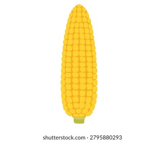 Close-up of a bright yellow corn cob with kernels showing richness and freshness.