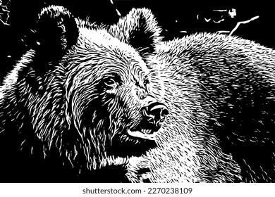 Close-up of a brown bear head, illustration for T-shirt, clothes, tattoo, logo.