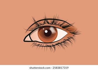 Close-up of a Brown Eye vector illustration.