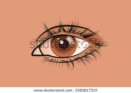 Close-up of a Brown Eye vector illustration.