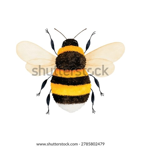 Closeup of a bumblebee insect body