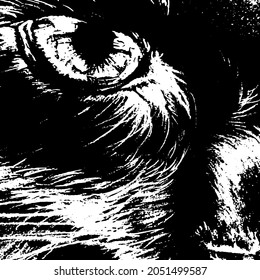 Close-up cat on a black background.
