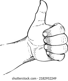 Close-up of closed hand with thumb up. Black and white vector illustration, handheld view