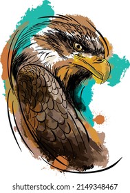close-up of colorful painted Eagle face IN WATERCOLOR AND SKETCH ON BLACK BACKGROUND
