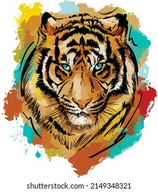 close-up of colorful painted Tiger face IN WATERCOLOR AND SKETCH ON BLACK BACKGROUND.
