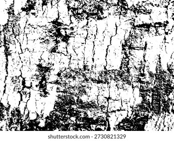 Close-up of cracked and weathered tree bark texture