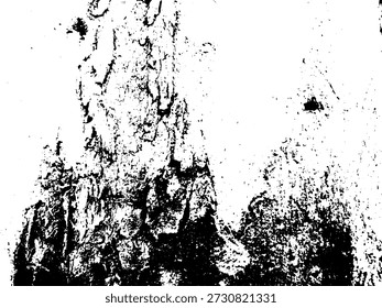 Close-up of cracked and weathered tree bark texture