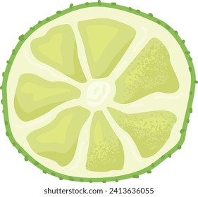 Close-up cross section of lime slice with pulp and seeds. Detailed citrus fruit slice illustration. Vector illustration of fresh lime, perfect for food and drink themes.