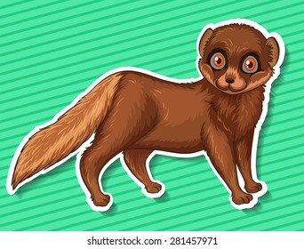 Closeup cute minx on green background