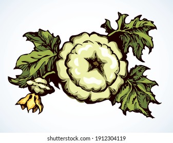 Closeup cute ripe raw green veggie small bud set text space. Line black hand drawn botanic vegan health diet meal product object icon logo sign design. Vintage art doodle cartoon style close up view